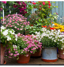 anna`s collection Buitencanvas bloemen in pot 58x58cm