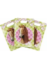Haza Paarden Uitdeelzakjes Party 6st