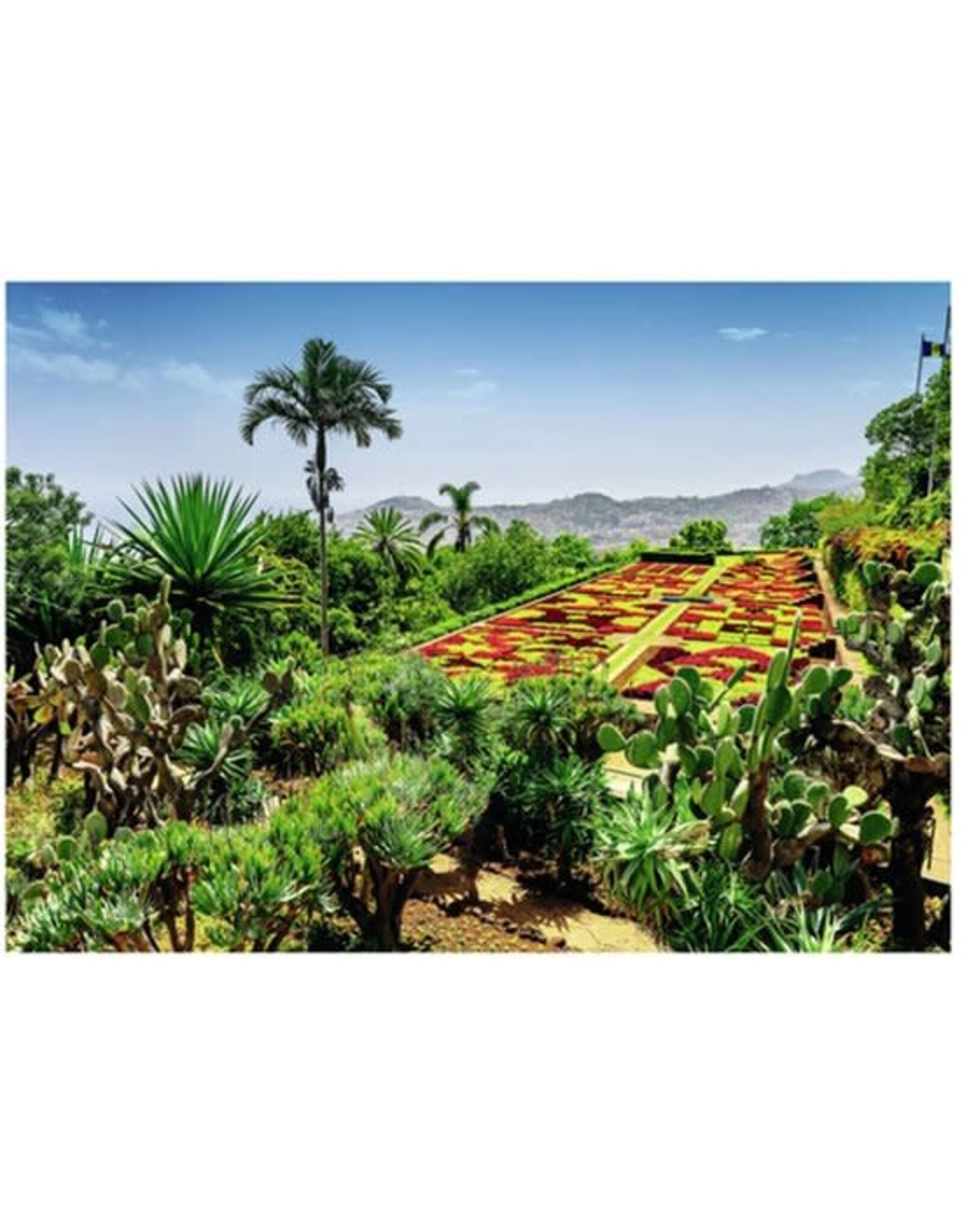 RAVENSBURGER Puzzel Botanical Garden, Madeira 1000pcs