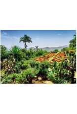 RAVENSBURGER Puzzel Botanical Garden, Madeira 1000pcs