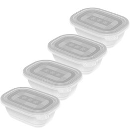 ROTHO Rotho Freeze Set van 4 diepvriesdozen 0.5l met deksel