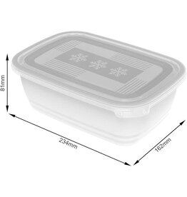 ROTHO Rotho Freeze Set van 2 diepvriesbakken 1.9l met deksel