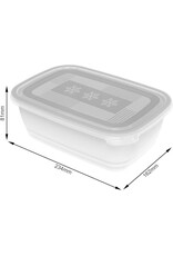 ROTHO Rotho Freeze Set van 2 diepvriesbakken 1.9l met deksel