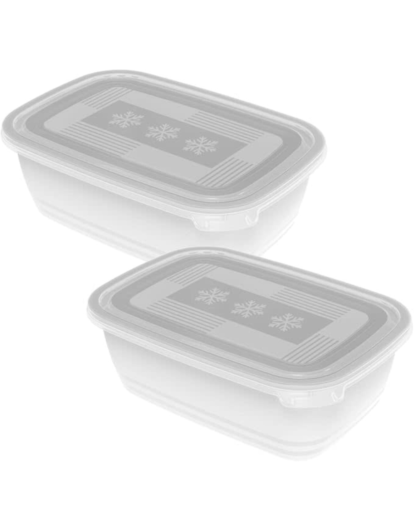 ROTHO Rotho Freeze Set van 2 diepvriesbakken 1.9l met deksel