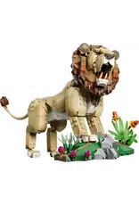 Lego Creator LEGO CREATOR Wilde dieren: majestueuze leeuw