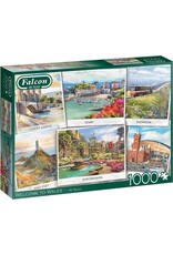 Falcon Jumbo puzzel 1000 st. Falcon