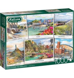 Falcon Jumbo puzzel 1000 st. Falcon