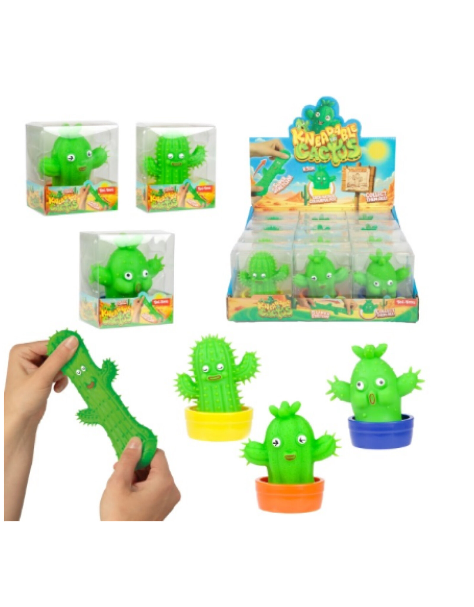 12 kneedcactus met pot