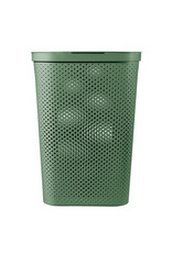 CURVER Curver Infinity wasbox dots 60L - groen