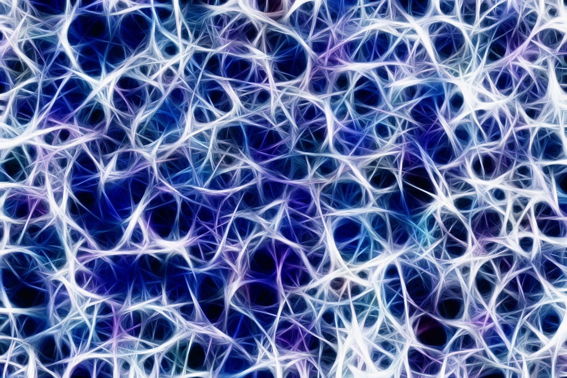 Nervensystem und Gehirn
