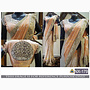 Lehenga Sari  in Apricot
