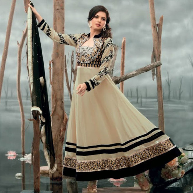 Elegantes Salwar Kameez