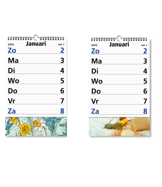245-10-001-P: 4x Primera Grote Cijferskalender op schild 2026