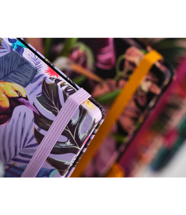 7Q01-IE-999: Pakket van 22 Notitieboeken Eden, BE=1 ex