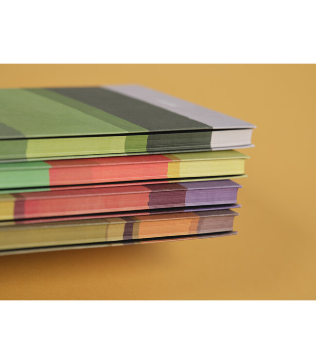 7Q04-IS-999: Pakket van 24 stuks notitieboeken Stripes