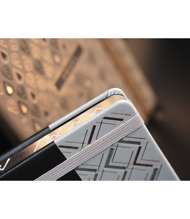 7Q04-LL-999: Pakket van 22 Notitieboeken Cesello