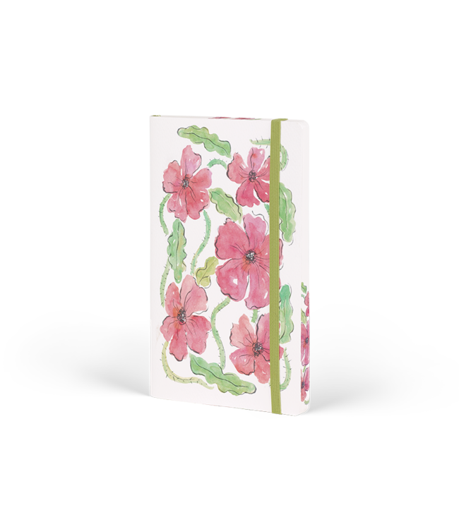 7QGL-IQ-999: Pakket met 25 Notitieboeken Acquarello