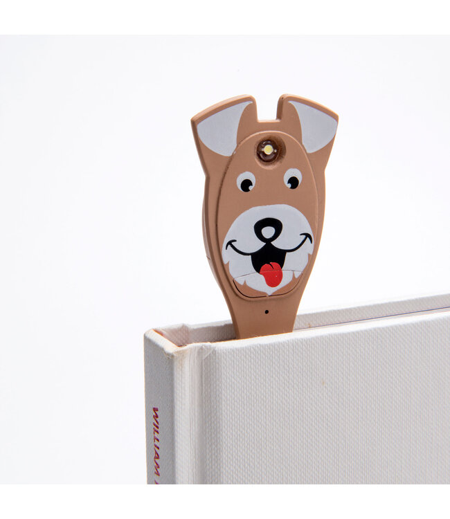 610-ANI: display met 12 booklights Animals, BE=1