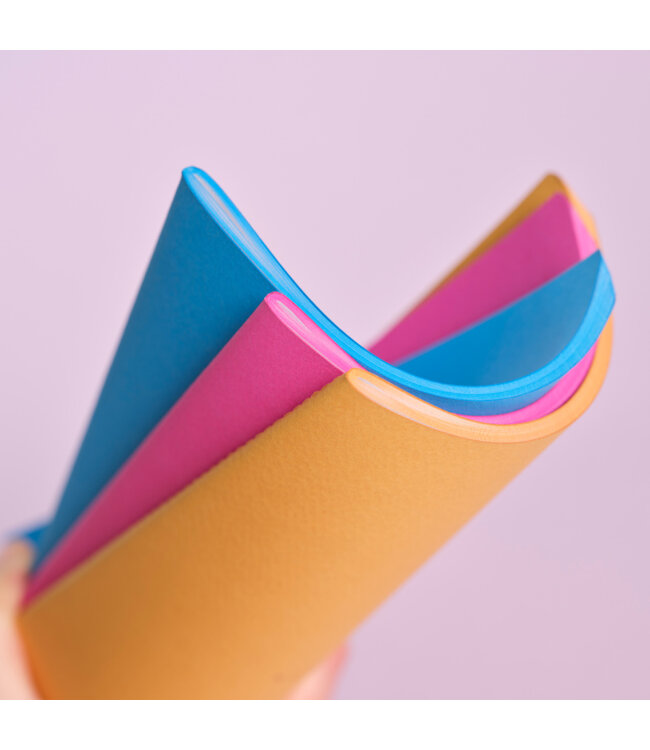 7QGS-MO: Notitieboekjes Singer Prisma, BE=2 ex