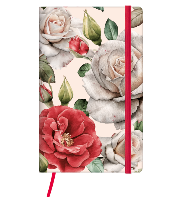 955-99-999: 9x Zakagenda H55 Lucca 2027 - omslag Natura