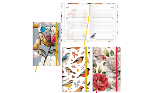 Castelli Agenda's 2027