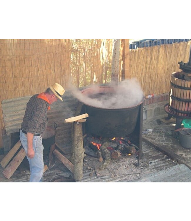 Cantine di Castignano Vino Cotto