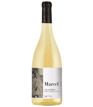 Cheval Quancard Cheval Quancard - Les Fils de Marcel Moelleux 2023