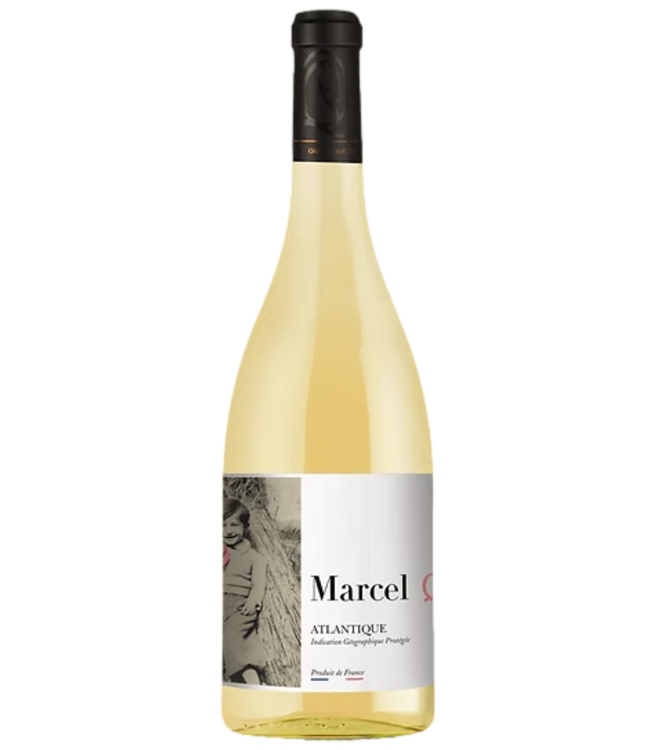 Cheval Quancard Les Fils de Marcel Moelleux 2023