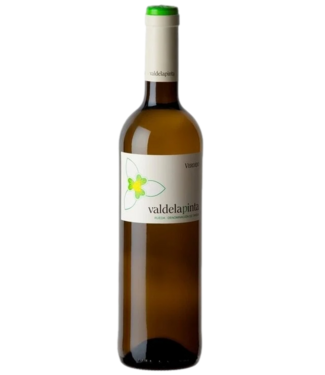 Bodega Hermanos del Villar Valdelpinta Verdejo Rueda 2025