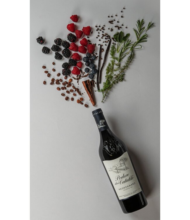 Podere Don Cataldo Negroamaro Salento IGT 2023