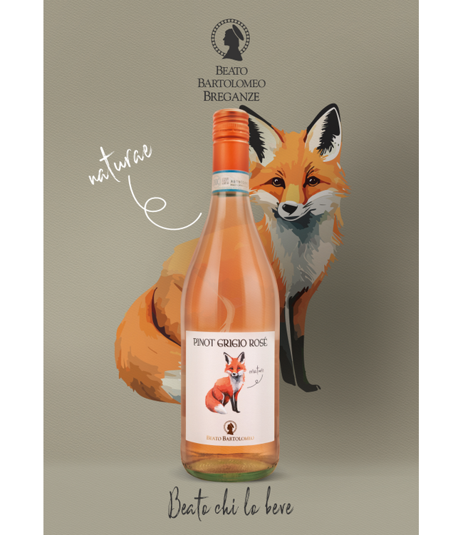 Beato Bartolomeo Breganze Naturae Pinot Grigio Rosé delle Venezie DOC "Blush" 2025