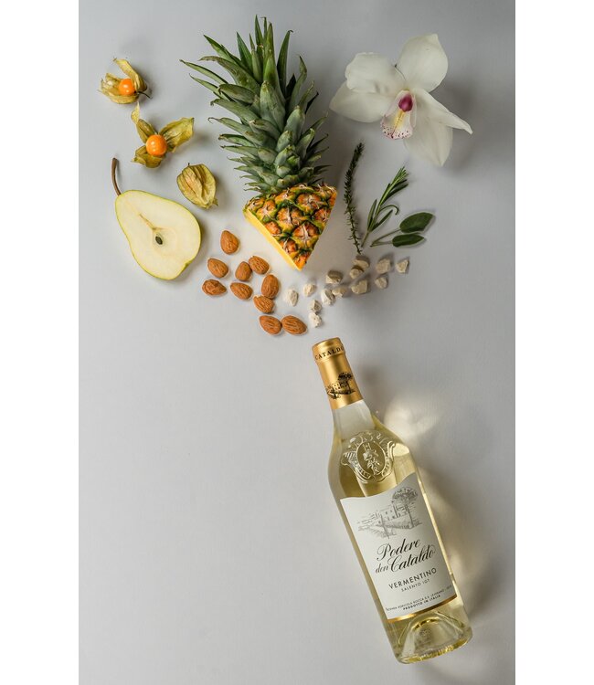 Podere Don Cataldo Vermentino Salento IGT 2025