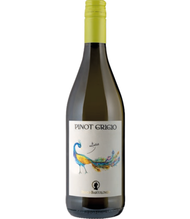 Beato Bartolomeo Breganze Naturae Pinot Grigio delle Venezie DOC 2025