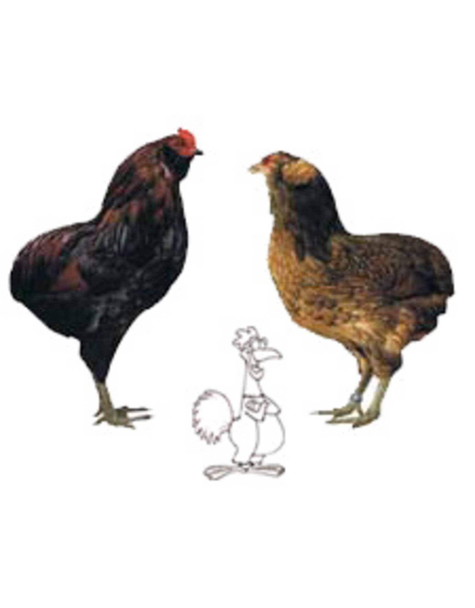 Eigen merk Araucana