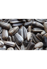Losse zaden Zonnebloempitten Gestreept - 12,5 KG