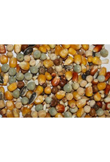 Spinne Huth Raket - 25 KG