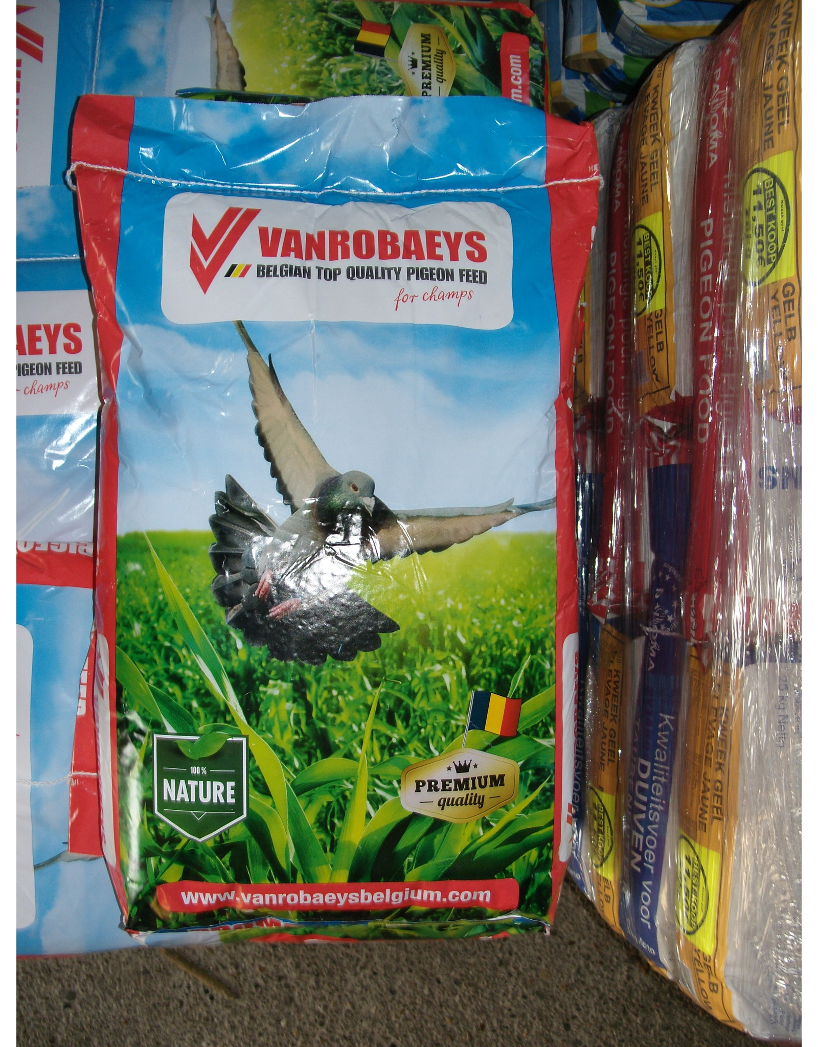 Vanrobaeys Nr 37 Junior vlucht exclusief - 20 KG