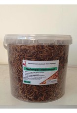 Eigen merk Meelwormen Gedroogd - 900 Gram
