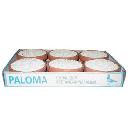 Paloma Zeewier pikpot paloma 5+1 - 6 Stuks