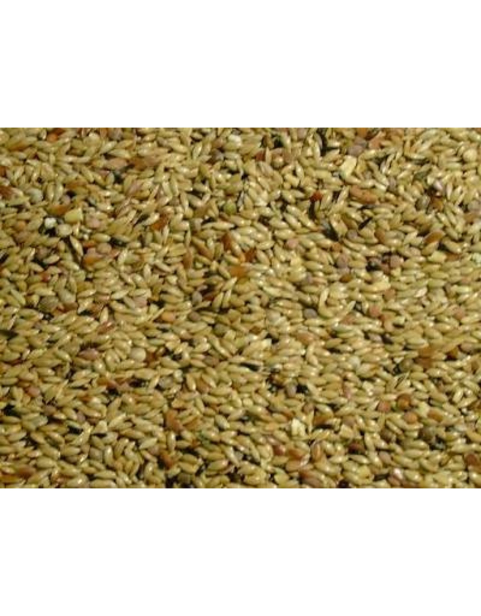 Slaats Zangzaad Postuur - 20 KG