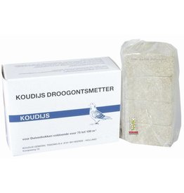 Koudijs Droogontsmetter - 1 Stuks