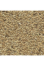 Losse zaden Kanariezaad Spitszaad - 1 KG