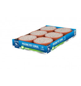 Beyers piksteen rood beyers 5+1 - 2,4 KG