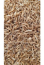 Eigen merk Meelwormen gedroogd - 500 Gram