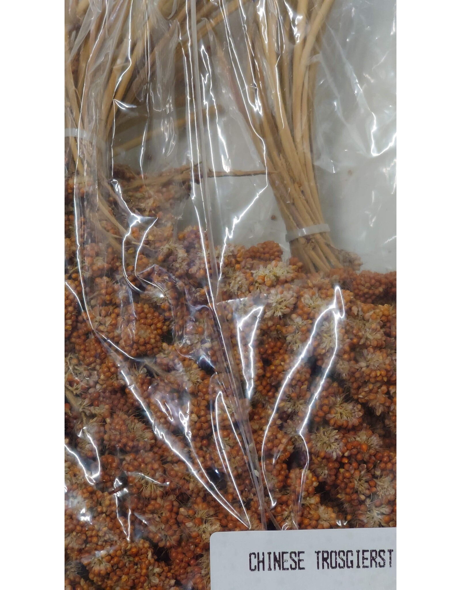 Losse zaden Chinese Trosgierst rood - 100 Gram