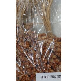 Losse zaden Chinese Trosgierst rood - 500 Gram