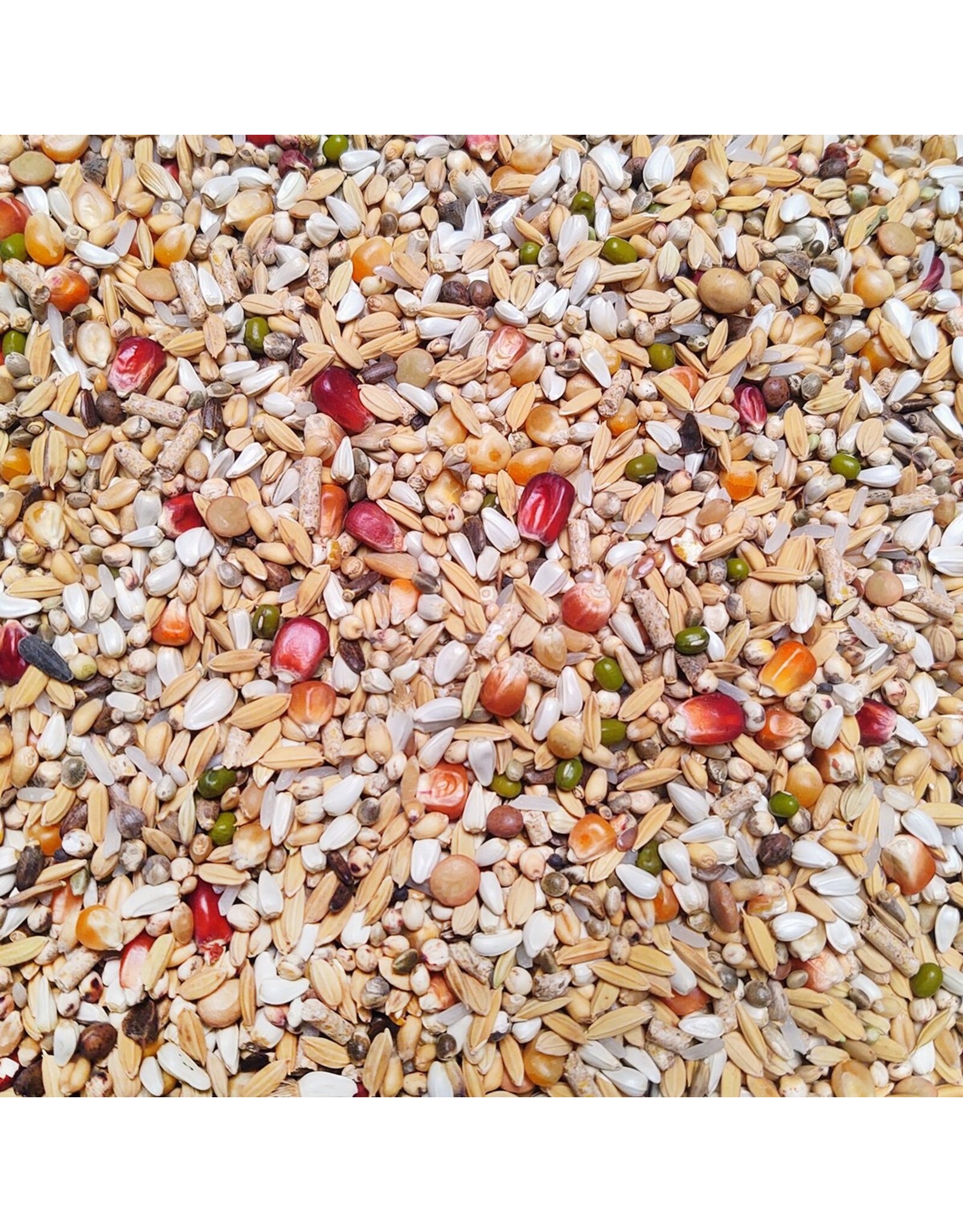 Vanrobaeys Nr 57 Sport Light Revolution - 20 KG