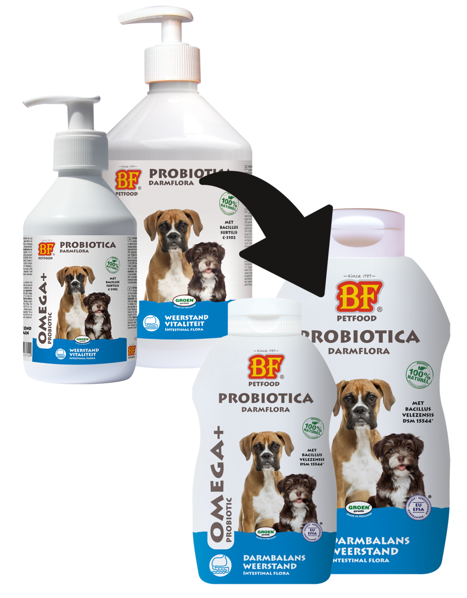 Biofood Omega+ Probiotic - 250 ML