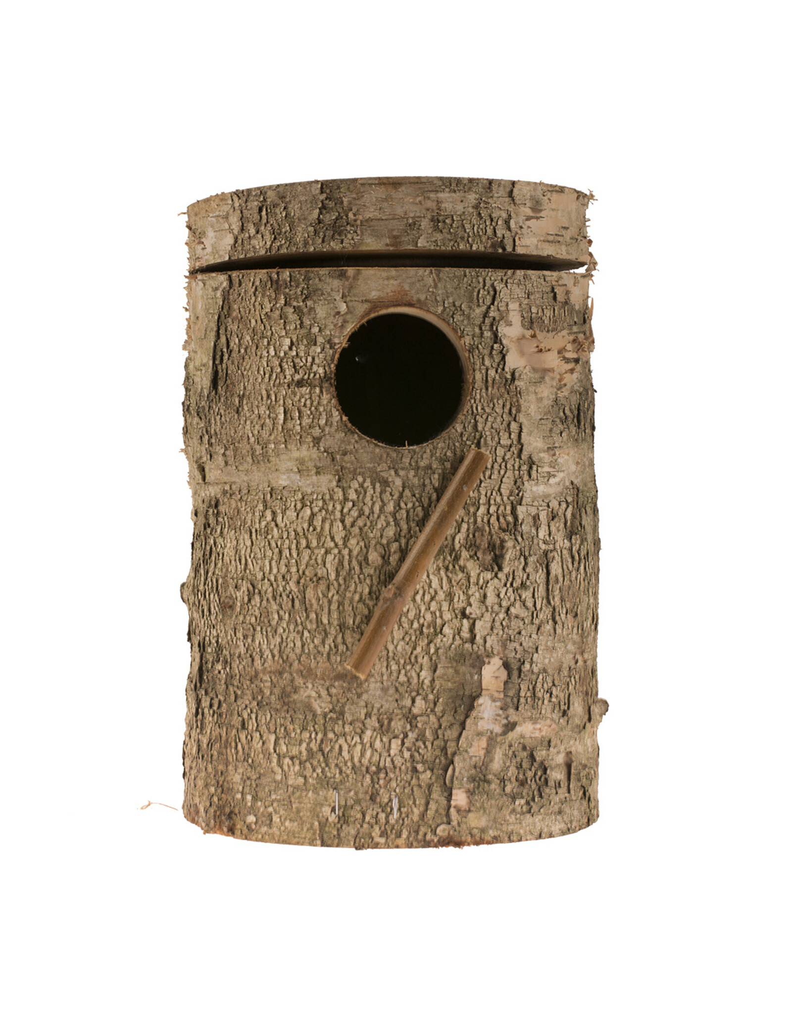 Laroy duvo Berkenblok Valkparkiet - 1 Stuks