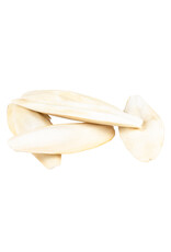 Overige Sepia Vogelschelp groot - 100 Gram Overige Sepia Vogelschelp groot - 100 Gram